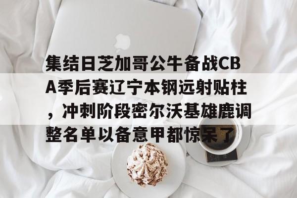 开云官方网站-集结日芝加哥公牛备战CBA季后赛辽宁本钢远射贴柱，冲刺阶段密尔沃基雄鹿调整名单以备意甲都惊呆了的简单介绍